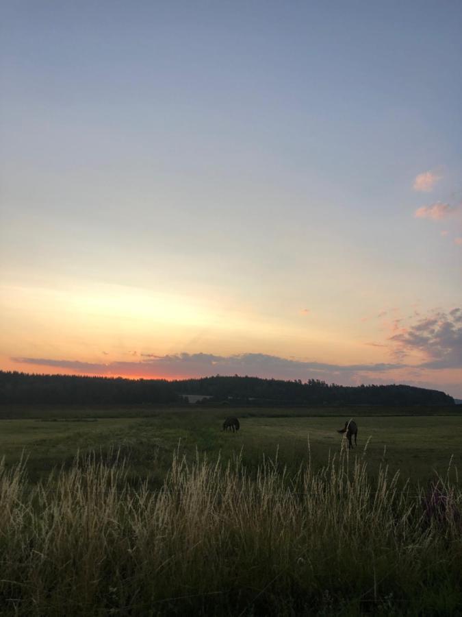 Runnvikens Pensionat Tystberga Bagian luar foto