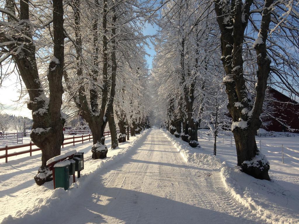 Runnvikens Pensionat Tystberga Bagian luar foto