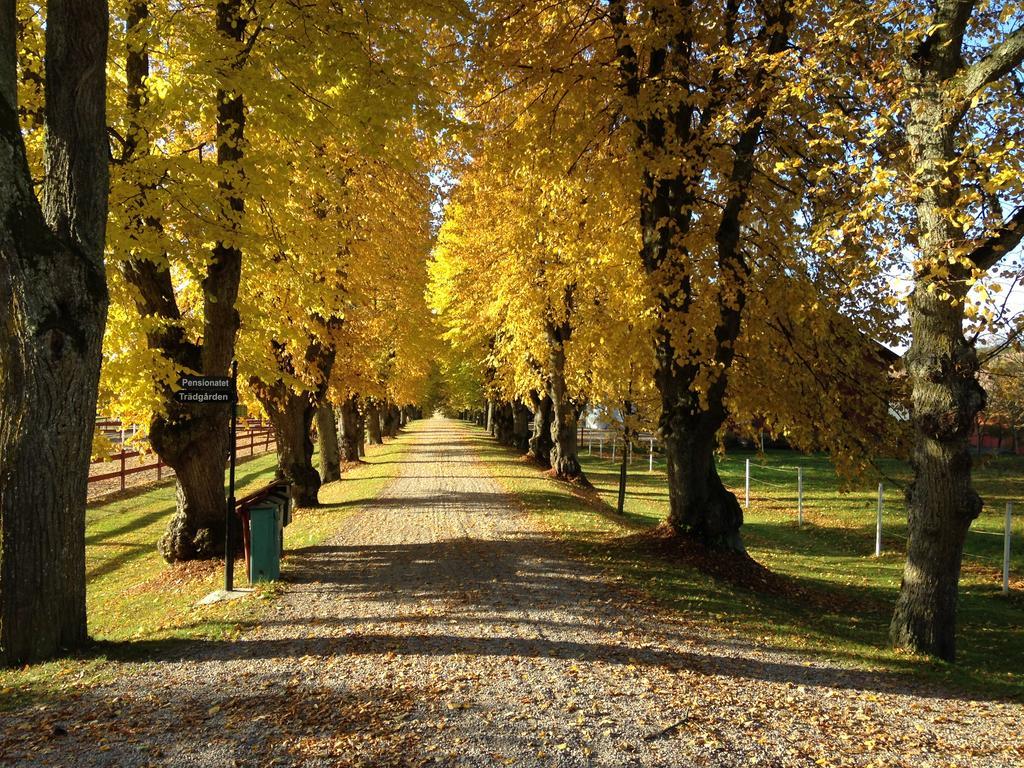 Runnvikens Pensionat Tystberga Bagian luar foto